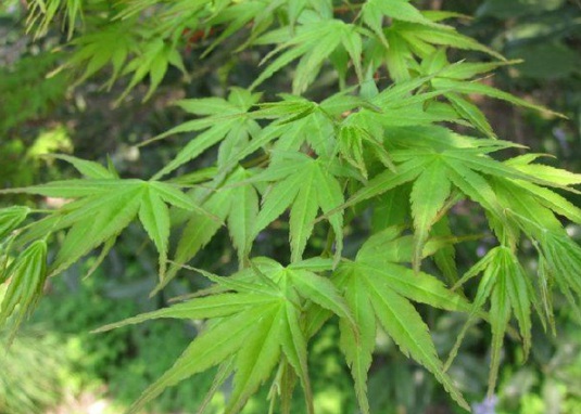 1630116326297243.jpg image.jpg