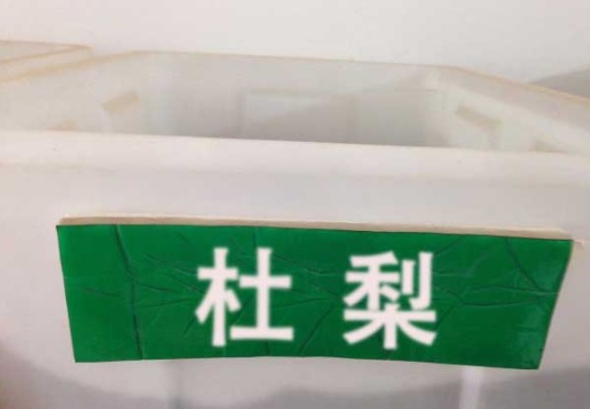 1630116564879125.jpg image.jpg