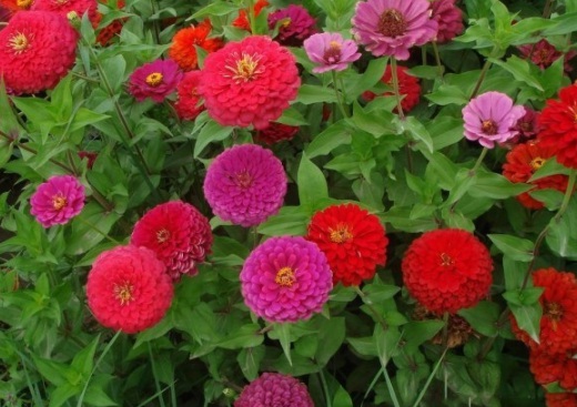 1630117418721217.jpg image.jpg