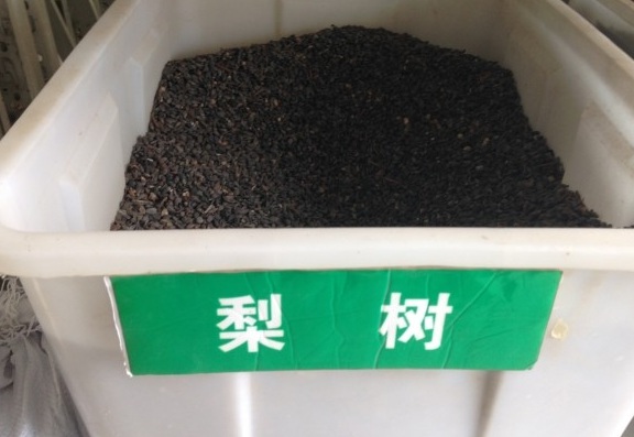 1630117478969726.jpg image.jpg