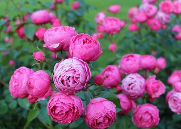 1630124254490069.jpg image.jpg