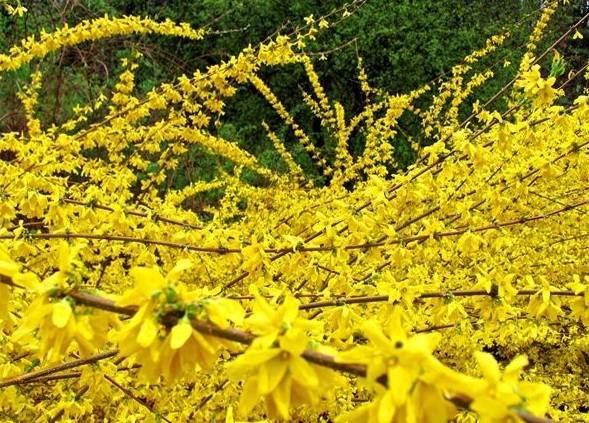 1630124806897425.jpg image.jpg