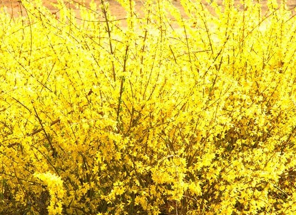 1630124828272154.jpg image.jpg