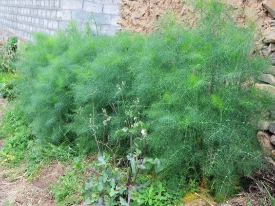 1630133532812152.jpg 04I[0_4~3[}(YB%9%Z@RA1S.jpg