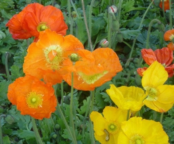 1630134126576502.jpg ~A(XYD3LE$A18E(50[D7)HO.jpg