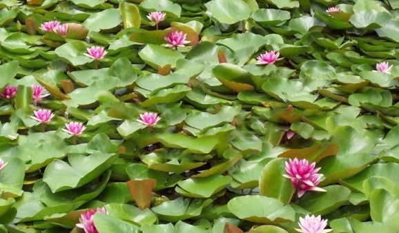 1630134529499205.jpg [$OEH[39$2$OU8UEY%B[CQN.jpg