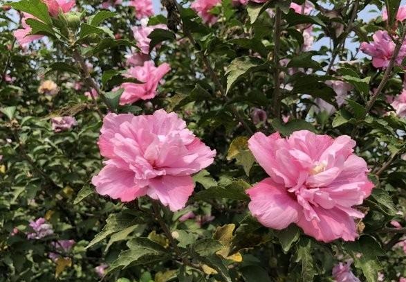 1630134752969863.jpg 7$6N_JEUEHRT5ZM@L8KMC}2.jpg