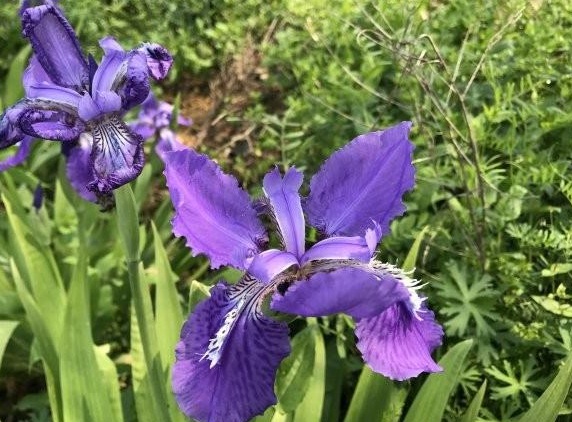 1630135218284732.jpg )2_QAB5W9{7{ZI14$%JCACB.jpg