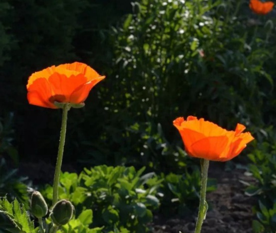 1630135295580530.jpg (%RK3M8SGS8X$}@_3$EF6)K.jpg