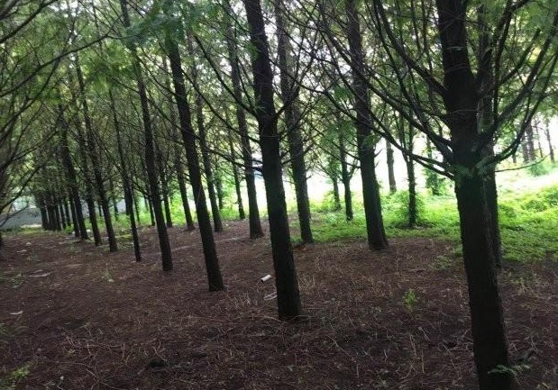 1630136740297771.jpg @O{4)D8}WQ2M93VN2V}1T~L.jpg