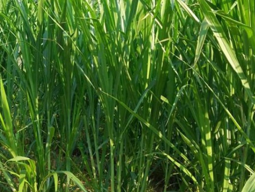 1630165991694926.jpg image.jpg