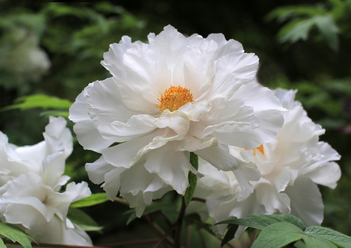 1630166629615000.jpg image.jpg