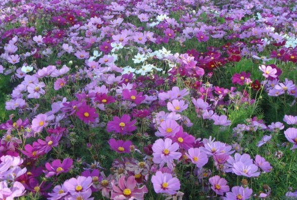 1630227645351698.jpg 7R66CW0W@SWPC3AAIQM2AEI.jpg