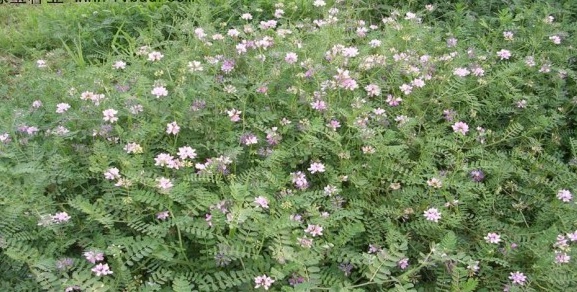 1630227693654269.jpg LBVTY(Y[`O62EKCKM_YZ90J.jpg