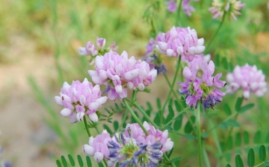 1630227713811069.jpg [E%5L0)2I6(CWB2[4KQ5W0J.jpg