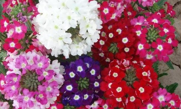 1630228162738774.jpg $AJCCETZI(KSYELTS{_T4EL.jpg