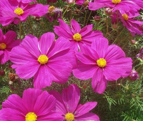 1630234602767242.jpg image.jpg