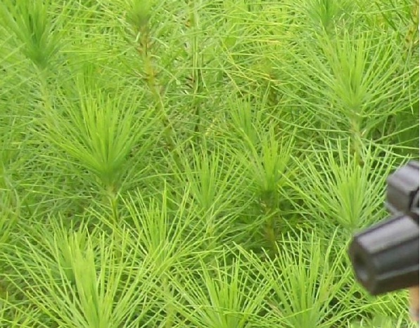 1630236030582495.jpg image.jpg