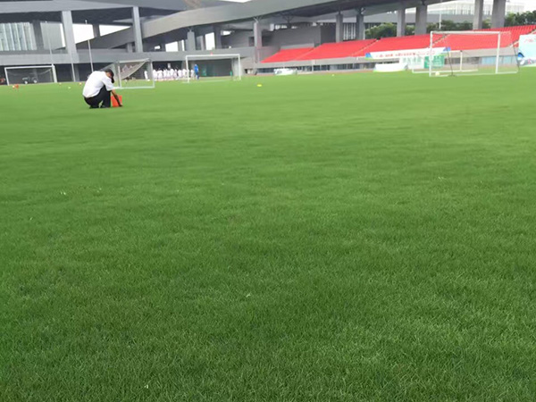 ??????? 1è????a?????o??????