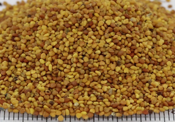 1630236145539868.jpg image.jpg