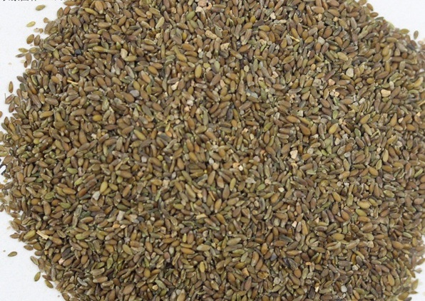 1630236276203000.jpg image.jpg