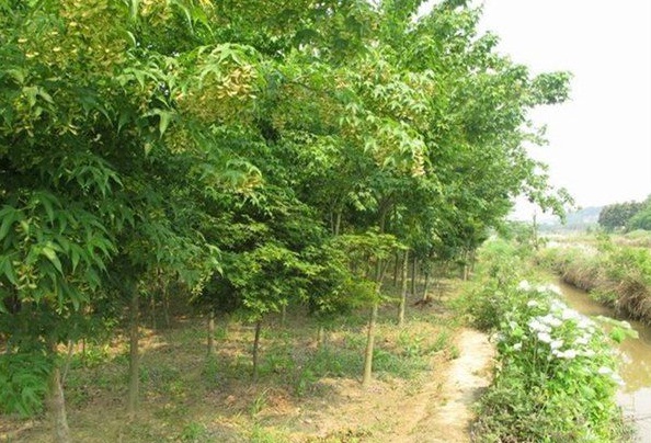 1630236945104010.jpg image.jpg