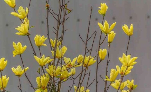 1630237064229595.jpg image.jpg