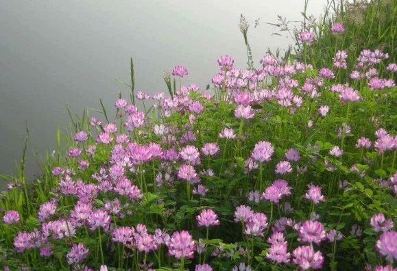 1630237681501009.jpg image.jpg