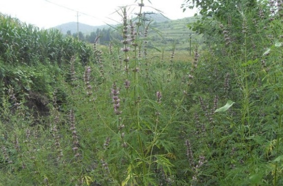 1630238396376547.jpg M_%B%AR}%GYJEQ~Z4)L9@9W.jpg