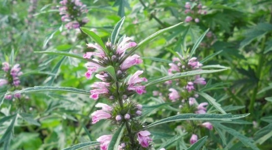 1630238405838192.jpg 9$3L$V$6XV_EYHDG[)L42[L.jpg