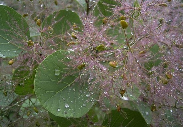 1630238885493480.jpg image.jpg