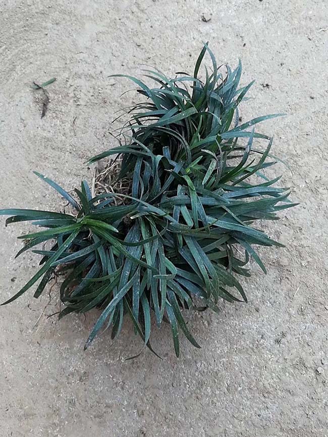 ??¥??????éo|??????é??è??