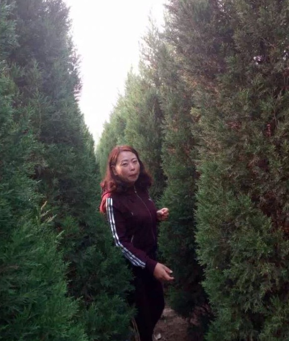 1630240138627814.jpg image.jpg