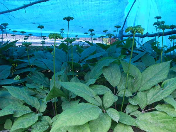 ?oo????§??-????è????oè????????