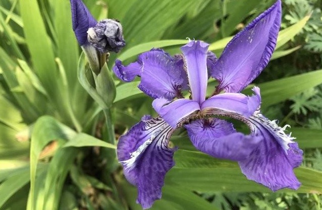 1630243181628713.jpg image.jpg