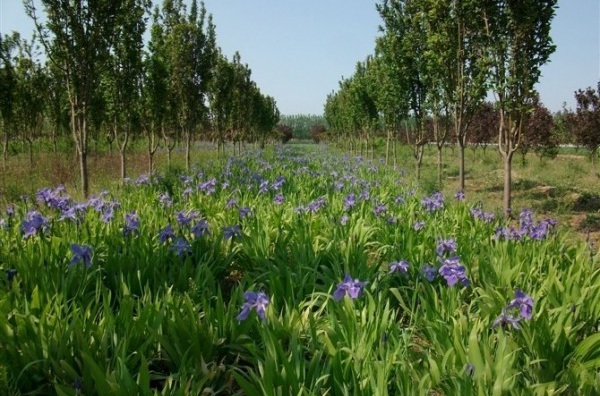 1630243204738644.jpg image.jpg