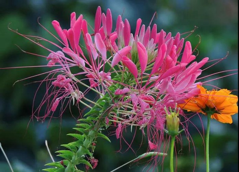 é??è??è?±????????¨??·????????¨é??