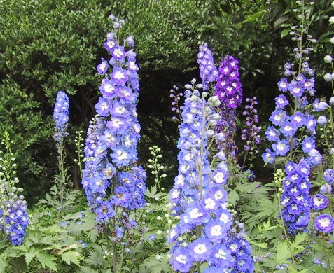 1630247791358100.jpg image.jpg