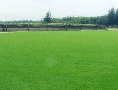 1630248110963820.jpg image.jpg