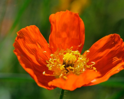 1630248832289932.jpg image.jpg