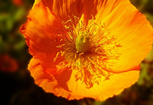 1630248887182938.jpg image.jpg