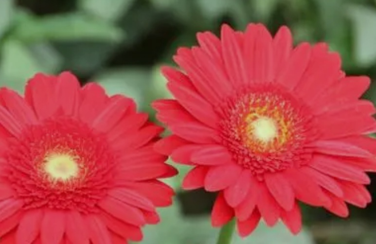 1630311222944141.jpg 太陽3.jpg