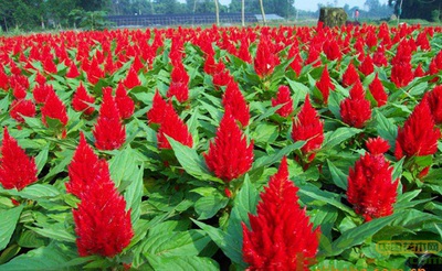 1630382322222381.jpg 1630382322222381.jpg