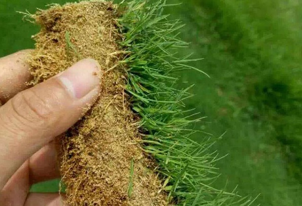 1630391400904139.jpg 4.jpg