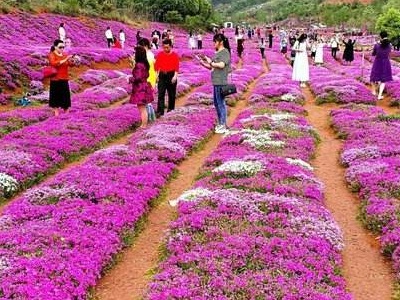 1592806557477759.jpg 1.jpg