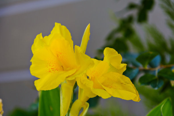 1630393704602249.jpg cc85f0a7e33984d93eed01d38742a912_t0105b0b6caa6f79041.jpg