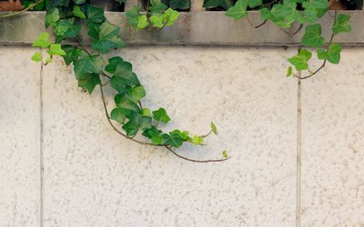 1630394082636724.jpg 1630394082636724.jpg