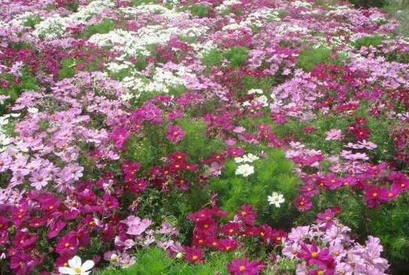 1630394347112157.jpg 8.jpg