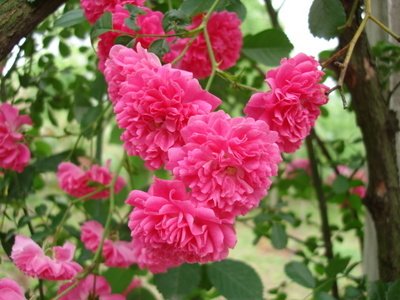 1630394625407899.jpg 1630394625407899.jpg