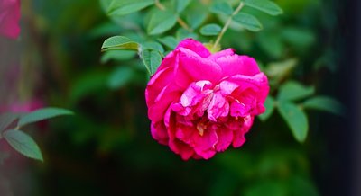 1630394674823607.jpg 1630394674823607.jpg